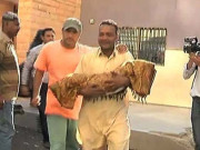 اہم شخصیات کے پروٹوکول کا مسئلہ