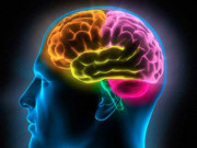 دماغ میں ہر وقت ایک گھڑی ٹک ٹک کرتی رہتی ہے