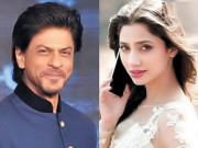  شاہ رخ اورماہرہ خان کی فلم ’’رئیس‘‘کی شوٹنگ دوبارہ شروع