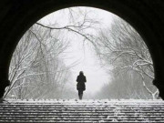 پسپائی کی آخری نظم