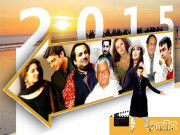 2015ء شوبز کیلئے اوسط درجے کا سال رہا