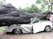 ’’سینڈی‘‘ امریکا میں بربادی کے نشان چھوڑ گیا نیلم طوفان بھارت کی طرف بڑھنے لگا