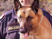 آسٹرین جوڑے نے عمر بھر کی جمع پونجی کتے کی مدد سے تلاش کرلی