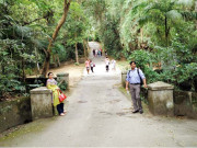 ’’فویلا‘‘ کے حسین رنگ اور ’’ٹوجیکا‘‘ جنگل کی خوش بو