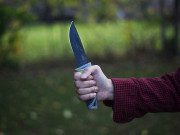 پنجاب میں لاٹھی ڈنڈا چاقو خنجر کی نمائش پربھی پابندی