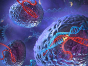 برطانیہ انسانی جنین میں جنیاتی تبدیلی کی اجازت دینے والا پہلا ملک بن گیا