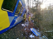 جرمنی میں دو ٹرینوں کے درمیان تصادم میں 8 افراد ہلاک 100 سے زائد زخمی