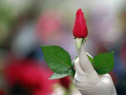 سن لیجئے اظہارِ محبت جرم نہیں