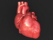  دل کی دھڑکن سے چارج ہو نے والے آلے کی تیاری 