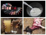 معاشرتی زندگی میں ملاوٹ