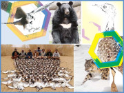 یارب زمانہ مجھ کو مٹاتا ہے کس لیے 