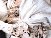 پیرول پر رہا ملزمان کے مقدمات کا ریکارڈ دیمک چاٹ گئی 