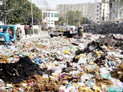 شہر میں گندگی کے ڈھیر سے مکھیوں اور مچھروں کی بہتات ہوگئی
