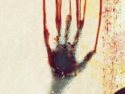 لاہورمیں سیشن عدالت میں وکلا کا مصری خاتون اوراس کے شوہر پربہیمانہ تشدد