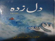 کہانی کے دلدادہ افراد کیلئے ’’دل زدہ‘‘