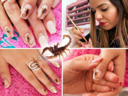 بچھوؤں سے ناخنوں کی آرائش۔۔۔