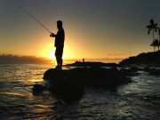 انسانوں اور مچھلیوں کا تعلق