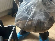 انگلینڈ میں شمالی یارکشائر میں ایک گھر سے 22 انچ لمبا چوہا برآمد