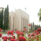 ضمنی الیکشن سیاسی سرگرمیوں میں تیزی 