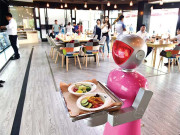 تم کسی کام کے نہیں۔۔۔۔۔