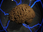 انسانی ذہانت اوراس کے اظہارمیں مطابقت