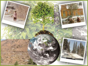 درختوں کے روٹھتے سائے