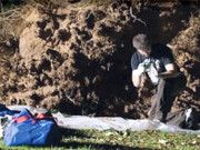 طوفانی ہوائیں گڑے مُردے سامنے لائیں       