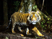 وہ کہ جن کا خاتمہ ہونے کو ہے