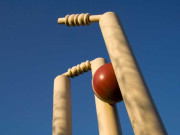 سوشل میڈیا اور کرکٹ