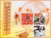 جب سورج سوا نیزے پر آیا