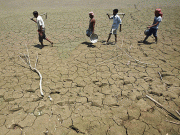 بھارت میں قحطسپریم کورٹ کی حکومت پرشدید تنقید