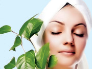 دمکتی شاداب جِلد  