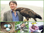  گھونسلوں سے انڈے چُرانے پر ’ نوبیل انعام‘