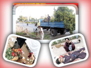   میری آواز سنو میں کراچی ہوں۔۔۔۔۔۔۔