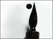 ادب ادیب اور معاشرہ