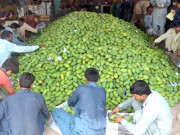 پاکستانی آم کی امریکا میں فروخت کے لیے ای کامرس سہولت متعارف