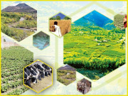 قدرتی وسائل سے بنائیں نیا پاکستان