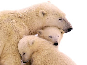  سونے کا وقت آگیا      