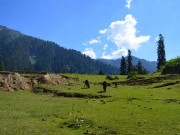 انسانی مداخلت سے محفوظ ’جاروگو وادی‘