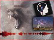 آوازوں کی دنیا