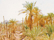 17 رمضان غزوۂ بدر نصرت الٰہی کا مظہر