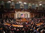 امریکی ایوان نمائندگان میں اسلحہ کے خلاف دھرنا