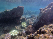 غوطہ خورنے سمندر کی تہہ میں 2 ہزارسال پرانا شہر ڈھونڈلیا