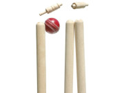 پریذیڈنٹ ٹرافی بیٹسمین تاحال صلاحیتوں کے جوہر دکھانے میں ناکام     