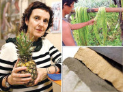 پناٹیکس انناس کے پتوں سے بنا چمڑا حیوانی کھال کا ماحول دوست متبادل