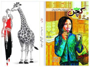 میری لائبریری سے جھانکتی کتابیں