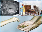  عید الفطر کے مسرت بھرے لمحات میں دوسروں کو بھی شریک کیجیے