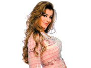 ناکام ہوئی نہ غلط کام کیا مداحوں کی پسند کا خیال رکھتی ہوں امیشا پاٹیل 