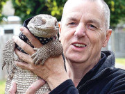 چارفٹ لمبی چھپکلی کے ساتھ چہل قدمی