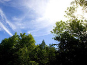 پاکستان کلائمیٹ چینج اتھارٹی کے قیام کا فیصلہ